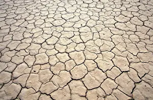 Parched: Namibia, Cracked mud in dried desert pool