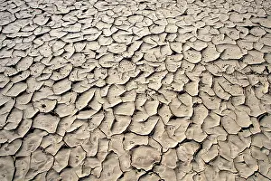Parched: Namibia, Cracked mud in dried desert pool