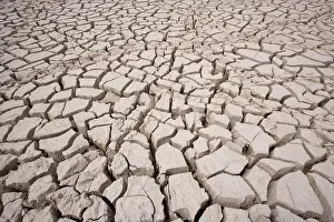 Cracked: Namibia, Etosha National Park. Cracked mud