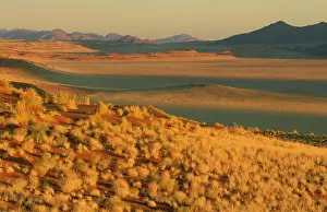 Bushman: Namibia - Evening landscape with Bushman Grass
