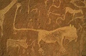 Engraving: Namibia - The famous lion panel at the Twyfelfontein