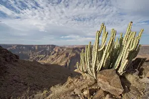 Thorny: Namibia, Fish River Canyon National Park