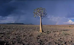 Desolation: Namibia, Fish River Canyon National Park