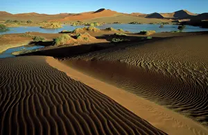 Acacias: Namibia - The flooded Sossusvlei with its green