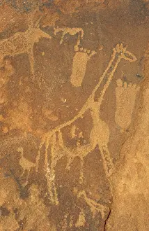 Engraving: Namibia - giraffe and human footprints at the Twyfelfontein