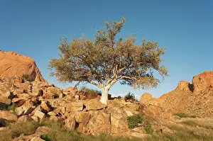 Spitzkoppe: Namibia - Granite rocks at the Spitzkoppe mountain