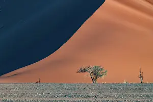 Red Color: DUNES