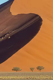 Color Photo: DUNES