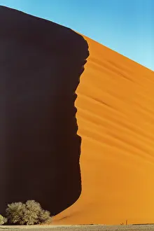 Color Photo: DUNES