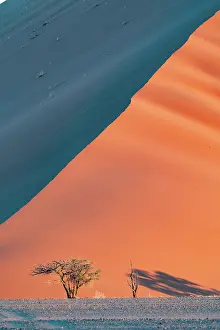 Color Photo: DUNES