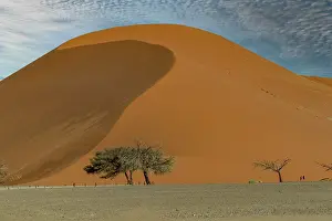 Color Photo: DUNES