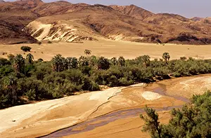 Riverine: Namibia: Kaokoland, Hoarsib valley, near