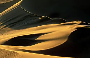 Grains: Namibia, Namib Desert, Sand dunes at sunset