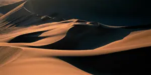Grains: Namibia, Namib Desert, Setting sun lights