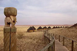 Carving: Namibia, Namib-Naukluft Park, Sossusvlei