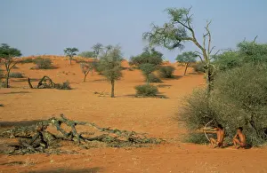 Bushman: Namibia - Posing Kung Bushmen / San in the Kalahari Desert