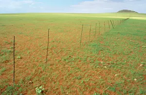 Solitaire: Namibia - Rainy Season with green vegetation -