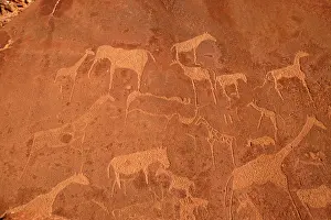 Engraving: NAMIBIA - Rock engravings of wildlife