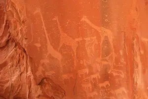 Engraving: Namibia - Rock engravings of wildlife, showing Giraffe