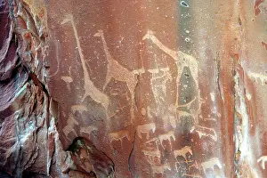 Engraving: NAMIBIA - Rock engravings of wildlife