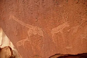 Engraving: NAMIBIA - Rock engravings of wildlife