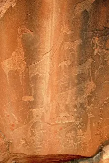 Engraving: NAMIBIA - Rock engravings of wildlife