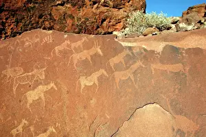 Engraving: NAMIBIA - Rock engravings of wildlife