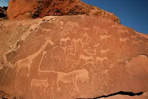 Engraving: NAMIBIA - Rock engravings of wildlife