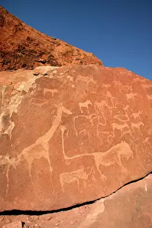 Engraving: NAMIBIA - Rock engravings of wildlife