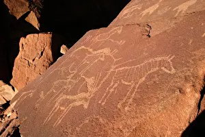 Engraving: NAMIBIA - Rock engravings of wildlife