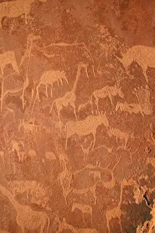Engraving: NAMIBIA - Rock engravings of wildlife