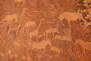 Engraving: NAMIBIA - Rock engravings of wildlife, including rhinoceros
