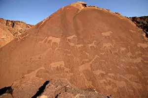 Engraving: NAMIBIA - Rock engravings of wildlife
