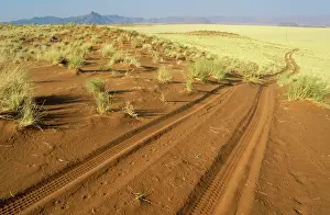 Namibrand: Namibia - sandy track at the edge of the southern