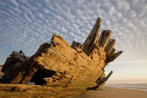 Remains: Namibia, Skeleton Coast Wilderness, Remains