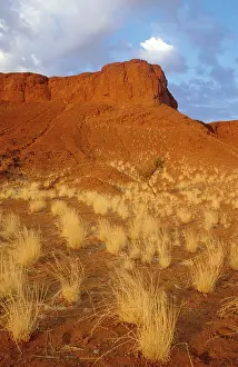 Solidified: Namibia - so-called petrified dunes (they are