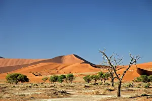 Terrain: Namibia, Sossusvlei