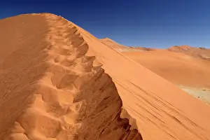 Ledge: Namibia, Sossusvlei. Big Mama Dune at Sossusvlei