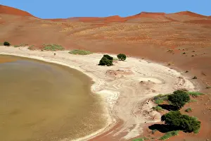Terrain: Namibia, Sossusvlei. Sossusvlei Pan, with