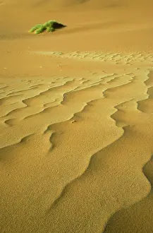 Nara: Namibia - Structural forms in the sand of the Namib