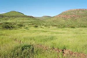 Palmwag: Namibia - Unusual green scenery after heavy rainfalls