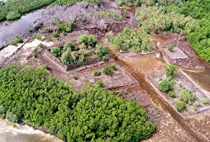 Jean-marc La Roque: Nan Madol ruins: Nandauwas fortress Pohnpei Island