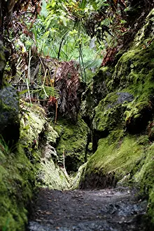 Lanes: Narrowing of the path, Halemaumau Trail Into the