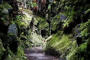 Lanes: Narrowing of the path, Halemaumau Trail Into the
