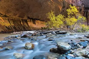 Zion: The Narrows of the Virgin River in autumn