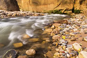 Zion: The Narrows of the Virgin River in autumn