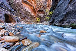 Zion: The Narrows of the Virgin River in autumn