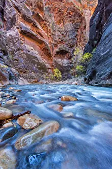 Zion: The Narrows of the Virgin River in autumn