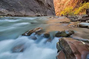 Zion: The Narrows of the Virgin River in autumn