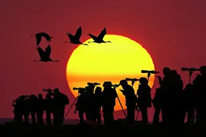 Spotting: Nartur friends with telescopes in front of setting